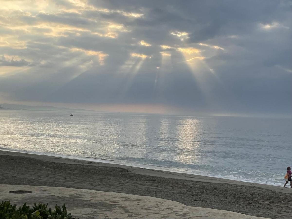 El Lobo De Mar Estepona Bagian luar foto
